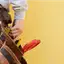 Handyman repair service in Lakeland, FL for home fixes and improvements